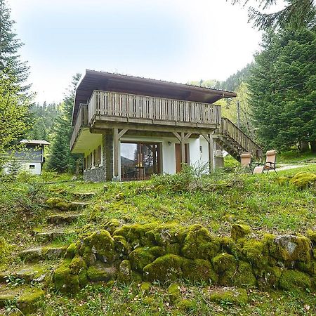 Le Schwarzwald - A Proximite Des Stations De Ski La Bresse Buitenkant foto